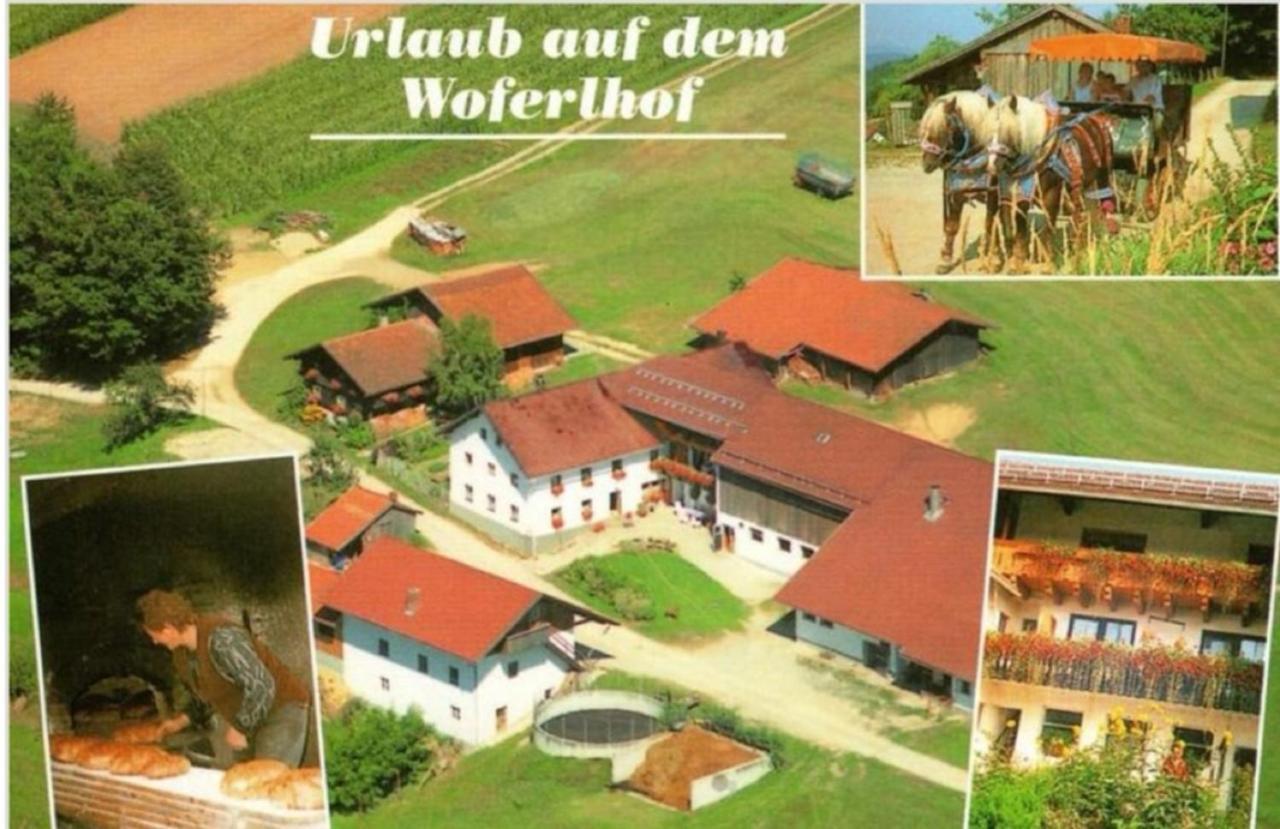 Woferlhof, Ferienhof Boxhorn Böbrach Екстериор снимка