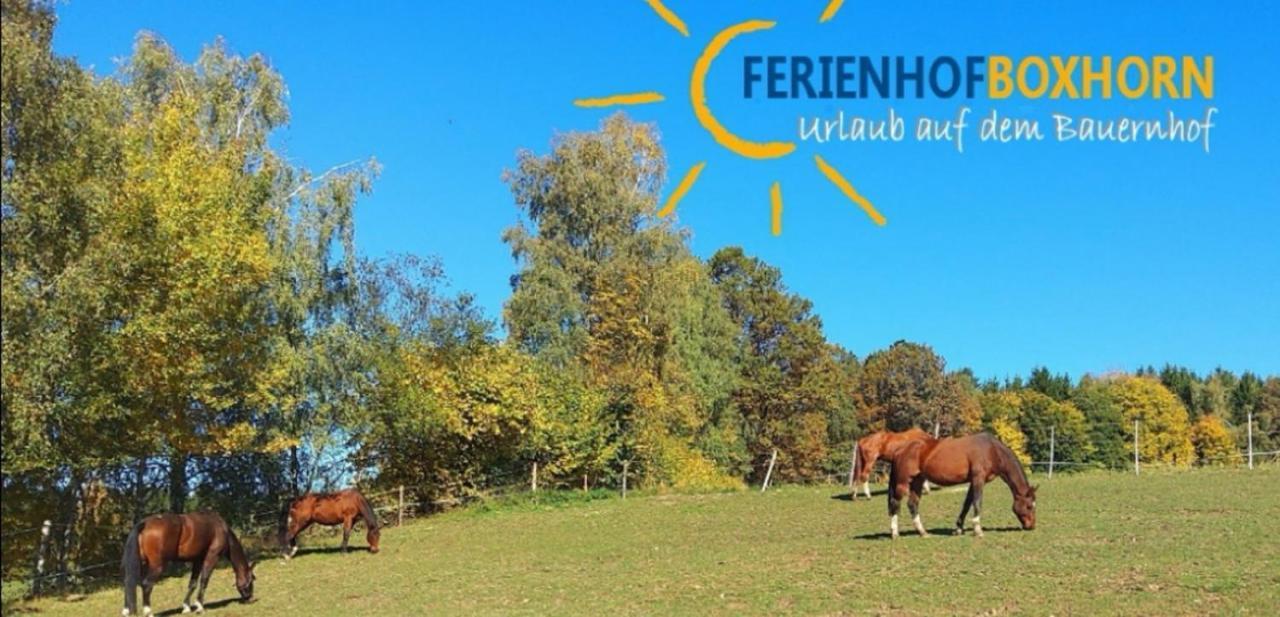 Woferlhof, Ferienhof Boxhorn Böbrach Екстериор снимка