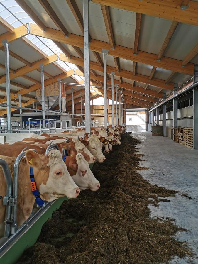 Woferlhof, Ferienhof Boxhorn Böbrach Екстериор снимка